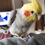 waka ⭐ のの＆のあ そしてぎずも