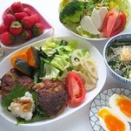Sat：生活クラブ・おろしハンバーグ＆ミックスサラダ ☆