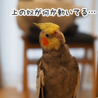 NEW!ユニブログ