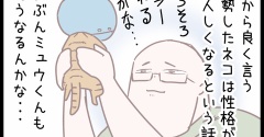 ネコは去勢手術が終わるとね…のまき