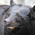 たっつぁんブログ！