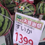 2100年まで生きられるかどうかを検証！！