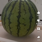 【画像】スイカに6000V流した結果ｗｗｗｗｗｗｗｗｗｗ