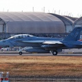 アメリカ海軍 VFA-102 F/A-18F スーパーホーネット