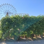 東武動物公園の花と自然（公式ブログ）