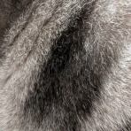 ムツキ&くるみの母ちゃん