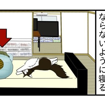 【猫との暮らし】 猫様の下僕にしか 理解されない事