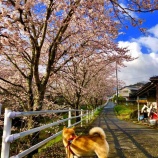 『いや〜〜^ ^』の画像