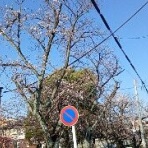 SINの通勤運動,独逸生活/旅行,建築,家🏡