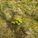 恒例「すっきりボディを目指せ！」１日目