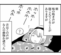 目覚めの声