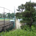 世田谷区立玉川野毛町公園野球場