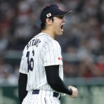 LOUIS ROEDERER CRISTAL'S DIARY