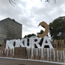 ◆水泳◆重さに比例する