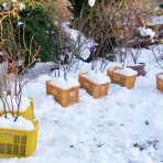 海彦・山彦の白秋日記