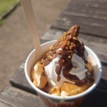 阿賀野市のヤスダヨーグルト Y&Y GARDEN ツリーバザールで、おっさん１人チョコソフトヨーグルトワッフル