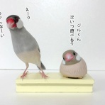 ブンチョ日誌
