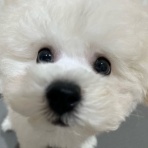 大分県別府市 ペットショップ ワンラブ ゆめタウン別府店のスタッフブログ