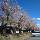 「椿姫」初見合奏　１年生登場　ＯＧＯＢバンド実行委員会