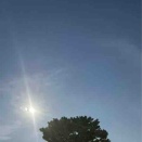 予定が狂った。