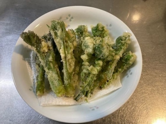 【画像】帰りに山菜取って来た【地区管理の山】