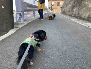 寒い。病院Dayです。