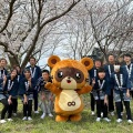 久しぶりの投稿