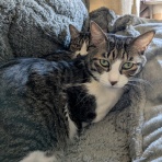 urushizutoぐみ と