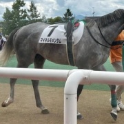 ドラマ「ザ・ロイヤルファミリー」を見終えて