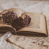 『帰省中～危ない作業』の画像