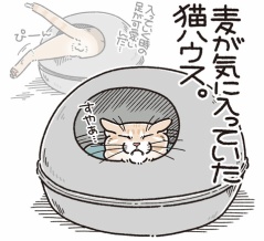 劇的ビフォーアフター