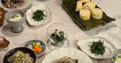 豚こまと茄子炒めのおろしポン酢の夜ごはん