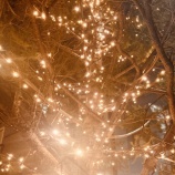 『好きな趣味との距離の取り方　vol.4215』の画像