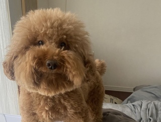 「やらなかった後悔」をしないために、今できること