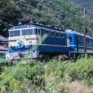 ヘッドマークを付けた電気機関車