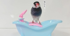 ハイテクお風呂