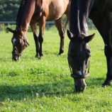 『台風』の画像
