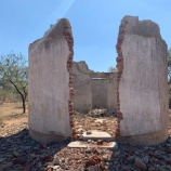 �ظ���Υꥢ���ʪ����ɤ� �� �ر����ν��ޤ�Ȥ��٤ȳ�ȯ���ϡ٤β���