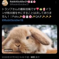 トランプ大統領のTruth Social 投稿集 ~ 2026 7/14-15