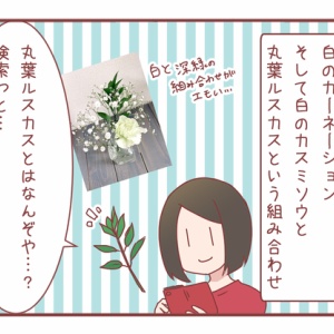 こんなところに花が咲く 面白い植物に出会ったよ Pr 元彼が消滅したヲタ彼女でぃーぷろぐ Powered By ライブドアブログ こんなところに花が咲く 面白い植物に出会ったよ Pr 元彼が消滅したヲタ彼女でぃーぷろぐ Powered By ライブドアブログ