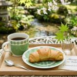 『春から新緑の季節にも合う使カップ スンヌンタイ ティー』の画像