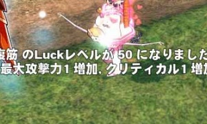 精霊レザーロングボウのレベルがついに50に