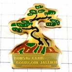 ピンズマルシェのオフィシャルブログ－杳杳たり杳杳たり甚だ杳杳たり