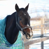 『待ち遠しい』の画像