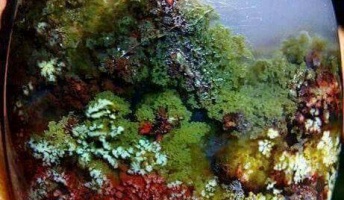 これが自然にできた鉱石って信じられる?(画像あり)
