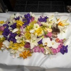 幸せになろうね♪