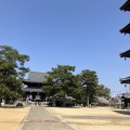 34日目　2025年４月7日（月）晴れ