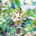 戒's gallery (GalleryGai)