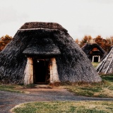 縄文時代に送り込んだら、文明の発展が加速しそうなもの！！！！！