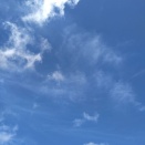 １月４日　　どうなるのだろう・・・　　